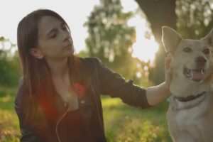 Del lobo a tu sofá: una pequeña crónica de la domesticación y evolución del perro
