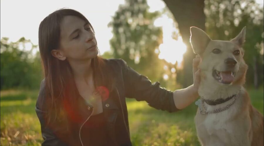 Del lobo a tu sofá: una pequeña crónica de la domesticación y evolución del perro