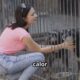 El eco de un ladrido: Historias, cifras y realidades del abandono animal