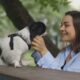 Más Allá del Truco: Cómo Construir (y Romper) Hábitos en Perros con Ciencia, Paciencia y un Toque de Magia Cotidiana