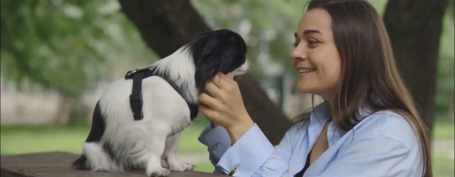 Más Allá del Truco: Cómo Construir (y Romper) Hábitos en Perros con Ciencia, Paciencia y un Toque de Magia Cotidiana