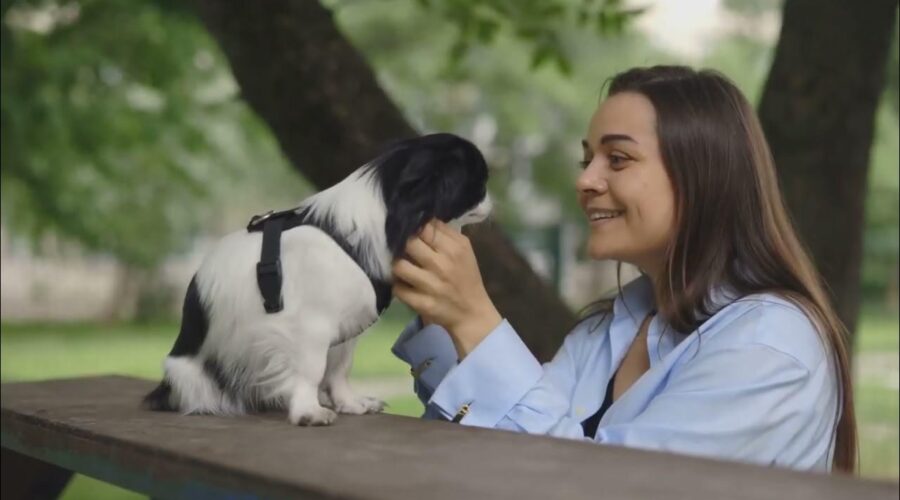 Más Allá del Truco: Cómo Construir (y Romper) Hábitos en Perros con Ciencia, Paciencia y un Toque de Magia Cotidiana