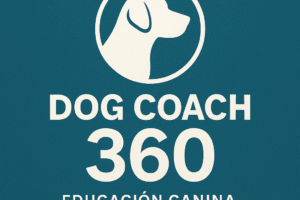 Adiestramiento canino en Lima con Dog Coach 360®. Educación integral, coaching humano-canino y socialización inteligente para una convivencia equilibrada y feliz.