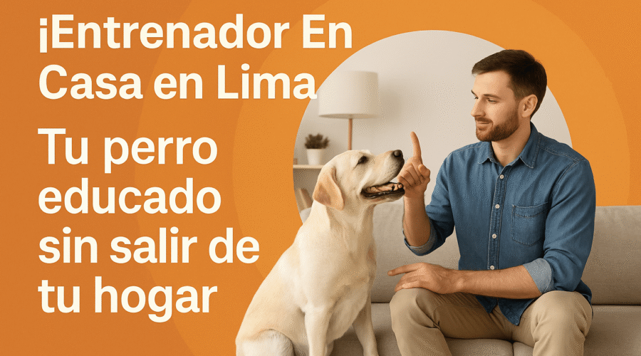 Entrenador en Casa en Lima