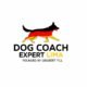 Domando Tormentas: Mi Manual Real (e Imperfecto) para Trabajar con Perros Reactivos y Agresivos