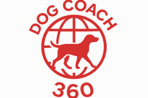 Bienvenida consciente: Tu primer paso auténtico hacia el cambio real con tu perro (Dog Coach 360 en acción)