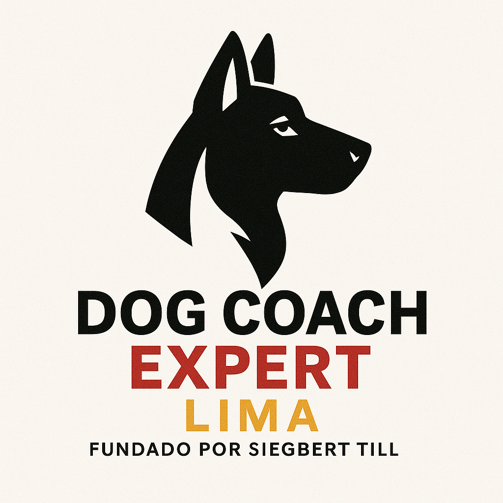 ¿Por Qué Elegir una Experiencia Alemana en Lima? Confianza, Calidad y Resultados que Trascienden