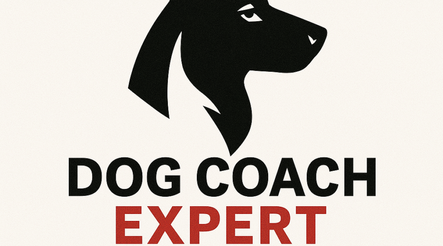 Más Allá del Adiestramiento: Mi Experiencia Real en el Mejor Centro Canino de Lima