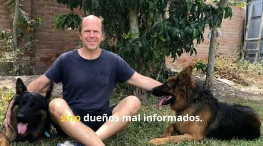¿Perro peligroso o dueño desinformado? Mitos y realidades del liderazgo canino