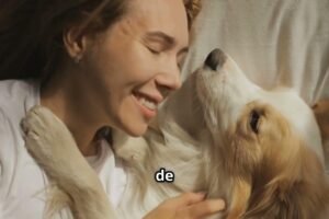 La empatía que nos une: Lo que descubrí al ver el mundo con los ojos de mi perro