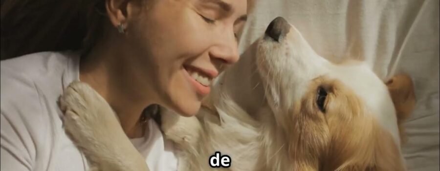 La empatía que nos une: Lo que descubrí al ver el mundo con los ojos de mi perro