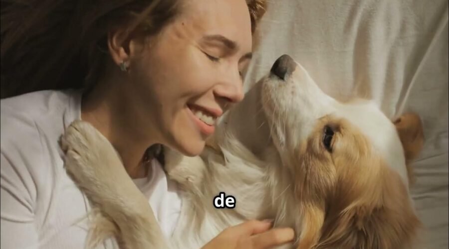 La empatía que nos une: Lo que descubrí al ver el mundo con los ojos de mi perro