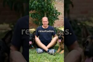 Dog Coach 360: Revoluciona la Educación Canina Desde el Núcleo Familiar