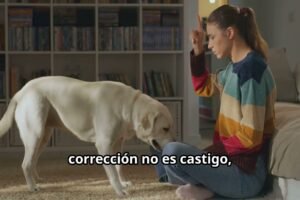 ¿Por qué tu perro no es rebelde? Reenfocando la corrección y la comunicación canina