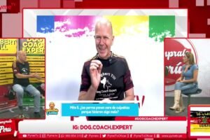 Dog Coach Expert: Más Allá del Adiestramiento Canino en Lima – Experiencia, Pasión y Resultados Reales