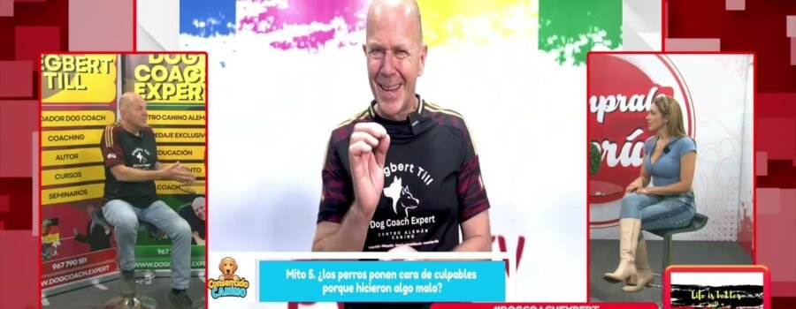 Dog Coach Expert: Más Allá del Adiestramiento Canino en Lima – Experiencia, Pasión y Resultados Reales