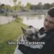 Cuando el caos ladra: Cómo ser el ancla de tu perro en momentos críticos (sin perder la calma)