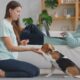 Entre instinto y aprendizaje: La verdadera naturaleza del comportamiento canino