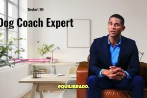 Entre perros y humanos: Mi viaje con Dog Coach y el adiestramiento canino que cambió mi vida (y la de mi perro) en Lima