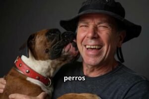 ¿Puede tu perro ser realmente feliz? Mi experiencia con el Método Dog Coach 360 de Siegbert Till