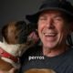¿Puede tu perro ser realmente feliz? Mi experiencia con el Método Dog Coach 360 de Siegbert Till
