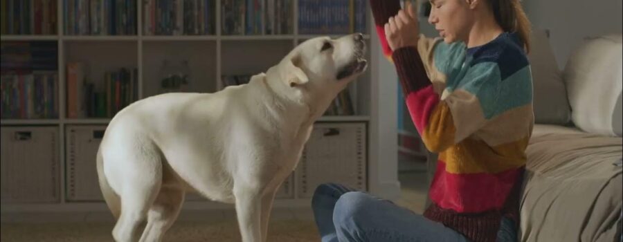 Lo que tu perro no te cuenta: pequeñas historias detrás de su comportamiento