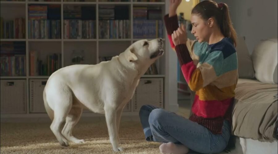 Lo que tu perro no te cuenta: pequeñas historias detrás de su comportamiento