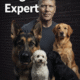 Siegbert Till y el arte de transformar vidas: La revolución Dog Coach 360 en Lima