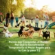 Perros que Conquistan el Mundo: Por Qué la Socialización Temprana Es el Mejor Regalo para tu Can (y para Ti)