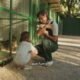 De Temor a Esperanza: Cómo el Refuerzo Positivo Transforma la Vida de Perros Rescatados