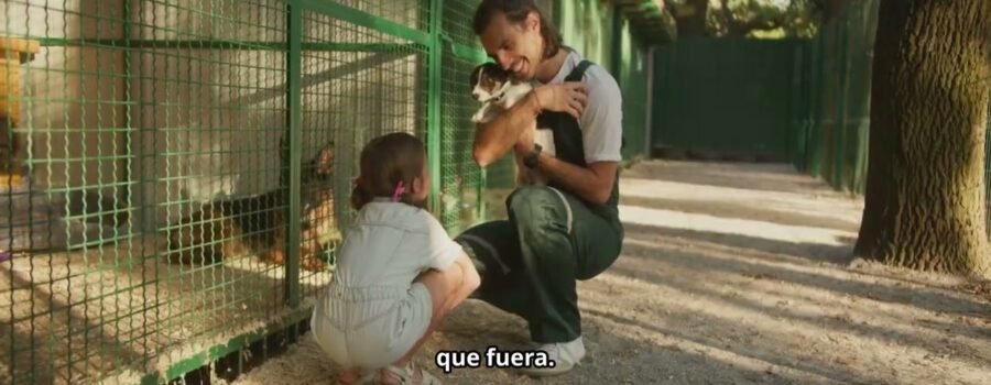De Temor a Esperanza: Cómo el Refuerzo Positivo Transforma la Vida de Perros Rescatados