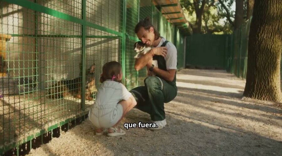 De Temor a Esperanza: Cómo el Refuerzo Positivo Transforma la Vida de Perros Rescatados