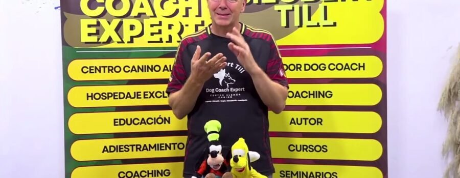 ¿Peligro de cuatro patas o de dos? Reflexiones reales sobre perros “agresivos” y educación responsable