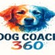 ¿Por qué Dog Coach 360 marca la diferencia? Mi travesía entre filosofías de entrenamiento canino