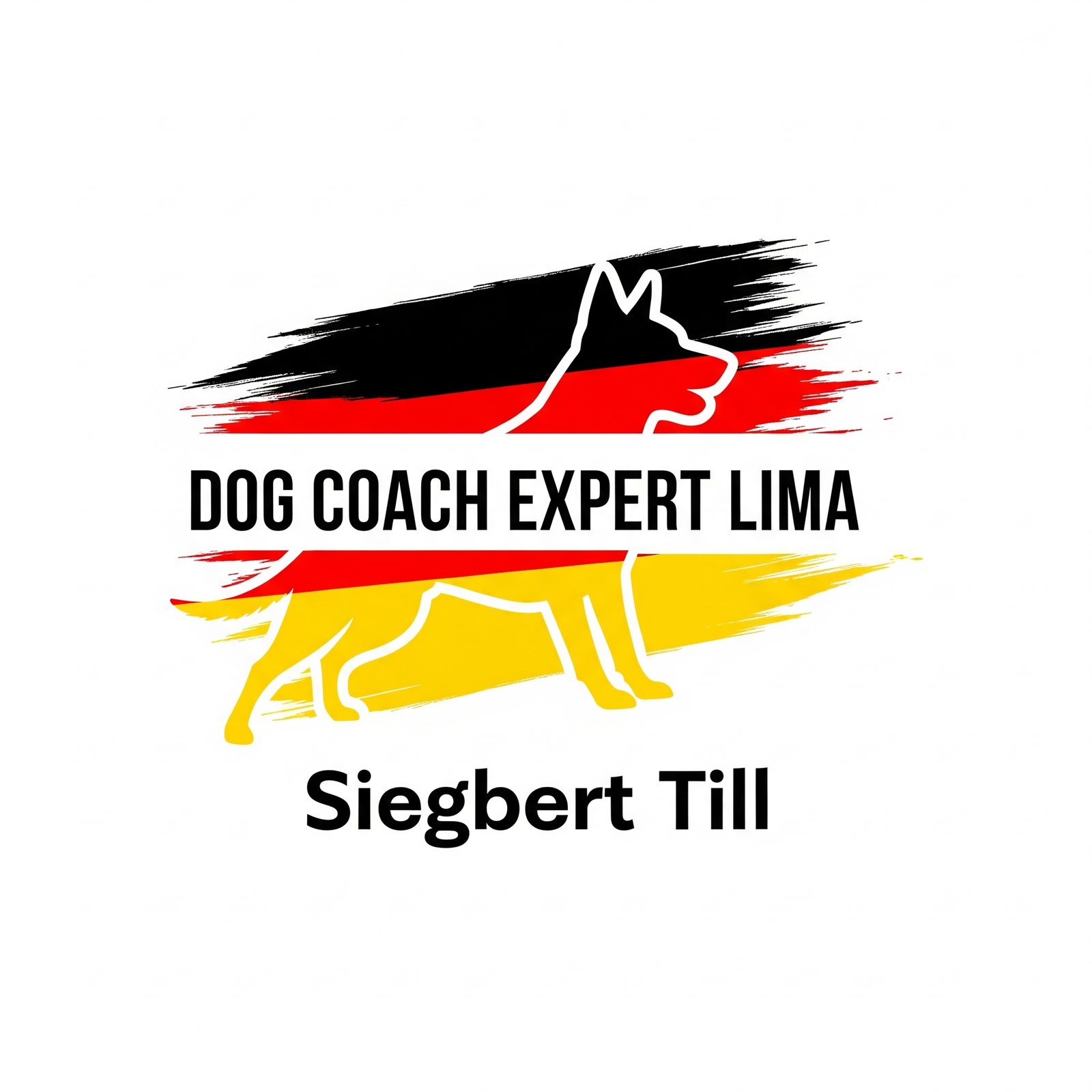7. Epílogo perruno: de aprendiz a cómplice (y por qué Dog Coach 360 merece una oportunidad)