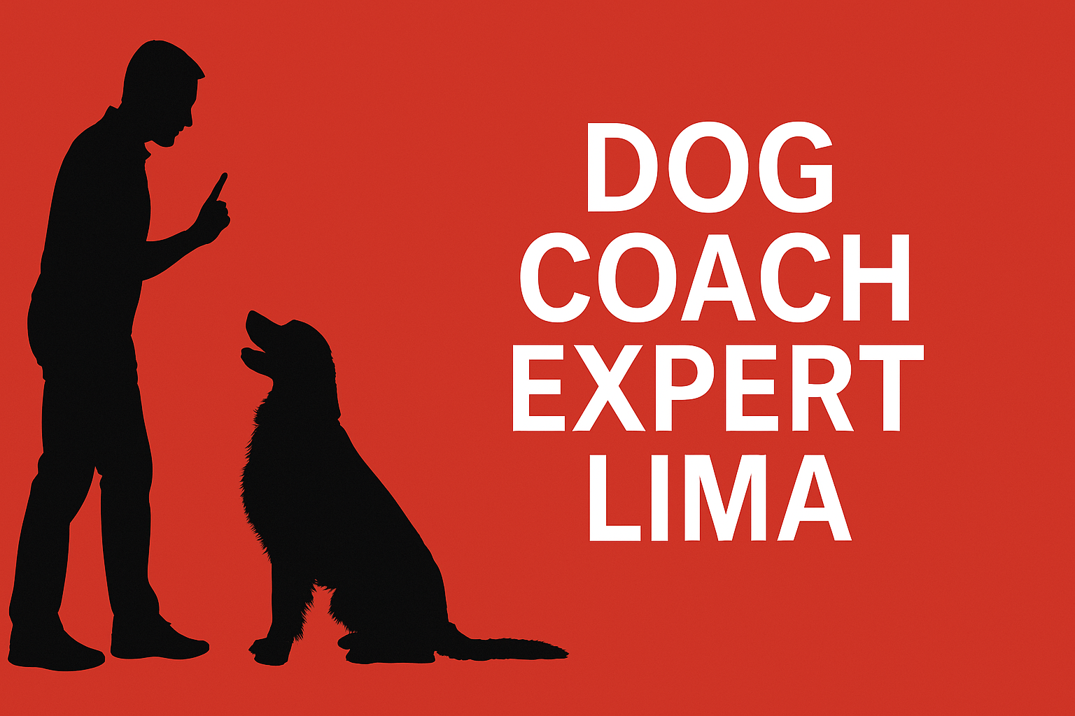 6. Precios y servicios sin letra chica: lo que aprendí al elegir Dog Coach 360