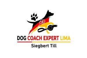 Más Allá del Parque: Tácticas Reales para Socializar a tu Perro (y No Morir en el Intento)