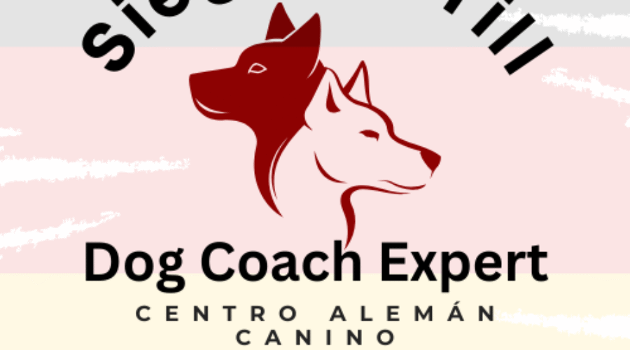 Más Allá del Adiestramiento: Cómo Entender y Transformar la Relación con tu Perro según la Filosofía Dog Coach 360
