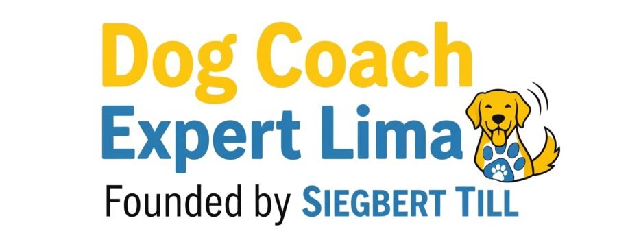 Terapia y Rehabilitación Canina con Dog Coach 360: Un Enfoque Integrado y Efectivo