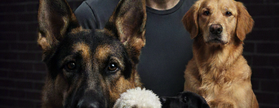 Siegbert Till – Entrenador de Perros Profesional en Lima