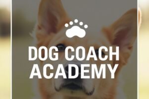 Entrenamiento Fácil Canino: Guía Práctica con los Principios de Siegbert Till y Dog Coach Expert