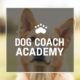 Entrenamiento Fácil Canino: Guía Práctica con los Principios de Siegbert Till y Dog Coach Expert
