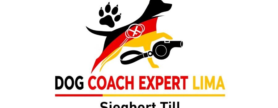 Hospedaje Canino en Lima: Donde Realmente Amamos a Nuestros Huéspedes Peludos