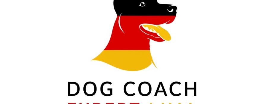 La nueva filosofía alemana en entrenamiento y educación canina en Lima: Más allá del adiestramiento convencional