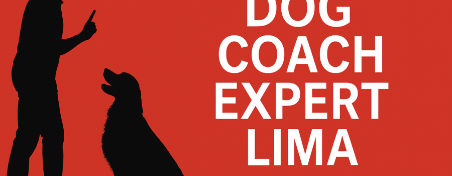 Descubre el Curso de Adiestramiento Canino Online que Transformará tu Relación con tu Perro