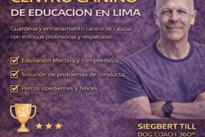 Por qué Dog Coach Expert, fundado por Siegbert Till, es el mejor hospedaje canino en Lima