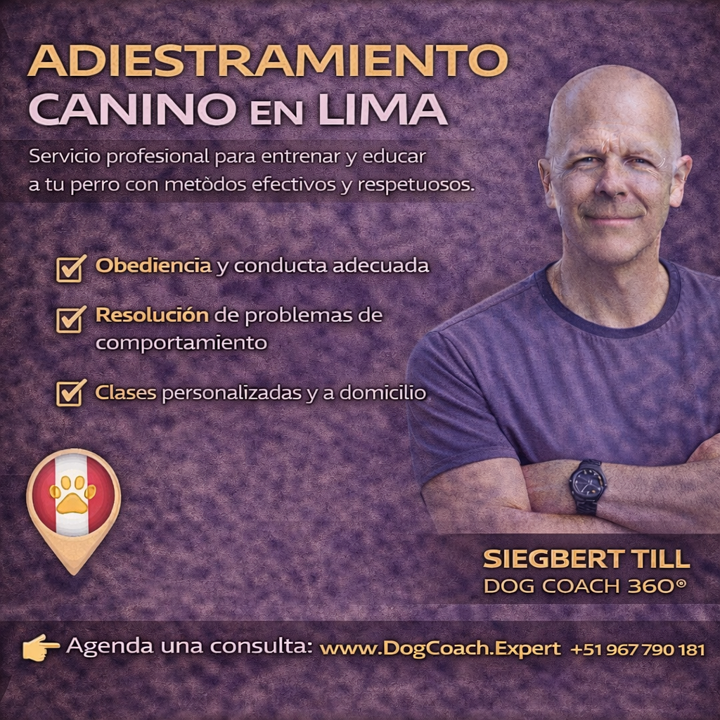 7. Casos prácticos, testimonios y errores frecuentes