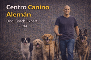 Dog Coach 360 — Educación de Cachorros Profesional