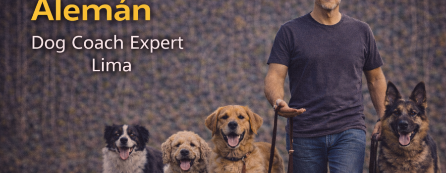 Dog Coach 360 — Educación de Cachorros Profesional