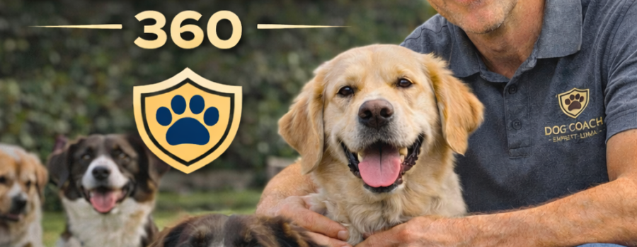 Rutina y refuerzo: baño en un solo lugar